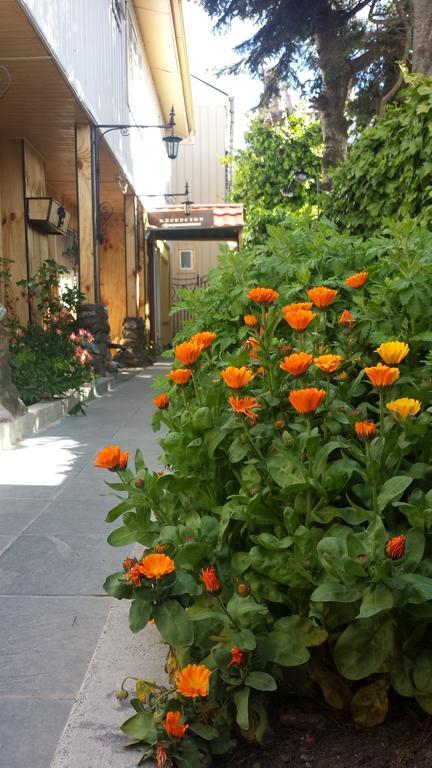 פואנטה ארנס Hostal Parediso מראה חיצוני תמונה